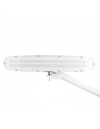 LAMPA WARSZTATOWA LED ELEGANTE  801-L...