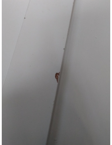 Szafka Azzurro midi 970 biała +