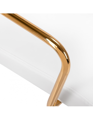 Krzesło Kosmetyczne QS-OF211G złoto...