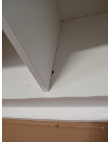 Gabbiano Recepcja G26B Biała