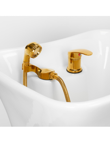 Gabbiano myjnia fryzjerska Diana...