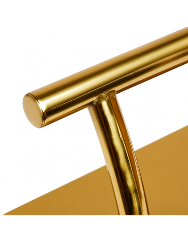 Gabbiano podnóżek fryzjerski L005S...