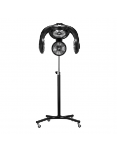 Gabbiano infrazon stojący...