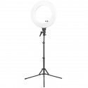LAMPA LIGHT RING 18" 48W LED BIAŁA + STATYW